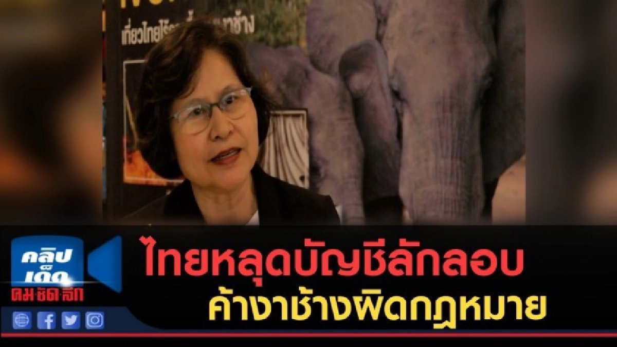 (คลิปข่าว) ไทยหลุดบัญชีลักลอบค้างาช้างผิดกฎหมาย