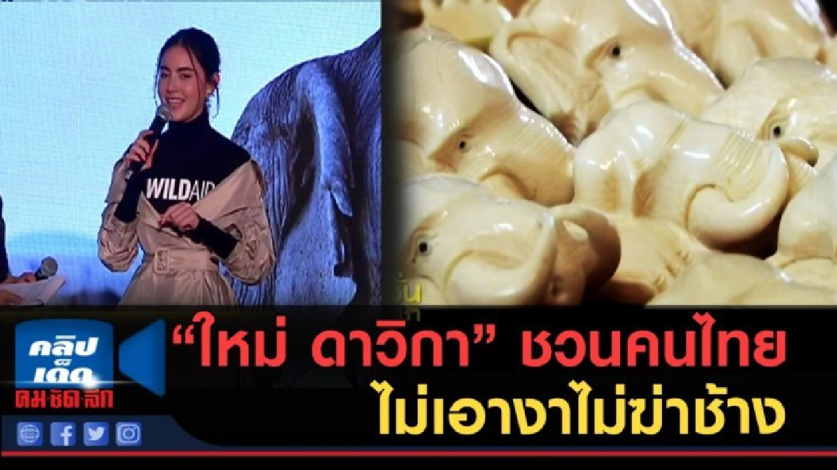 (คลิปข่าว) ใหม่ ดาวิกา ทูตด้านช้างไวล์เอด ชวนคนไทยไม่เอางา