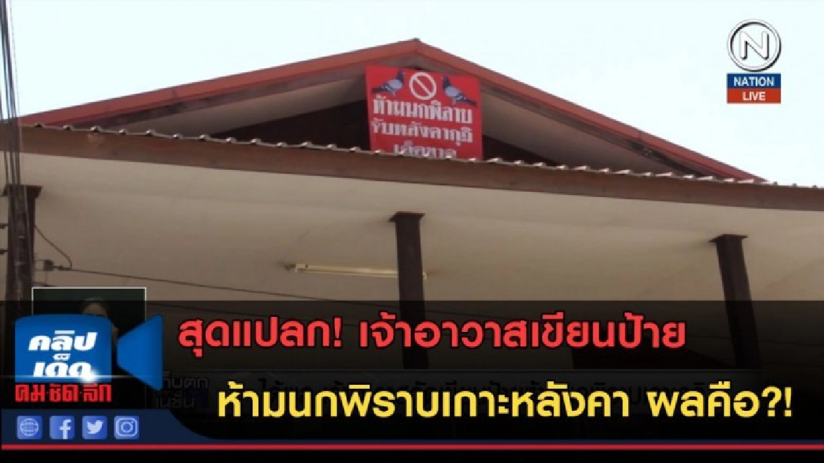 (คลิปข่าว)สุดแปลก! เจ้าอาวาสเขียนป้าย ห้ามนกพิราบเกาะหลังคา