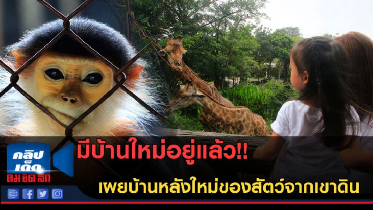 (คลิปข่าว)มีบ้านอยู่แล้วนะ! เผยบ้านหลังใหม่ของสัตว์จากเขาดิน (คลิปข่าว)มีบ้านอยู่แล้วนะ! เผยบ้านหลังใหม่ของสัตว์จากเขาดิน