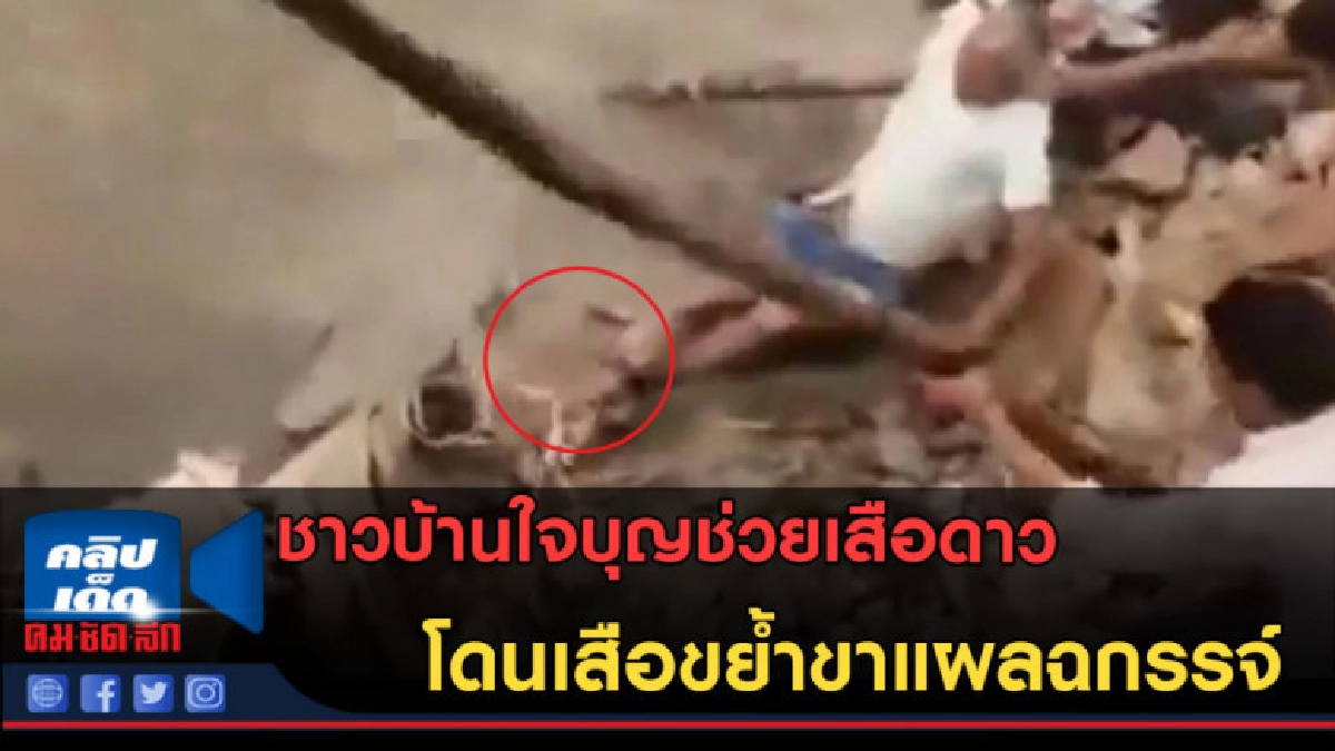 (คลิปข่าว) ชาวบ้านใจบุญช่วยเสือดาว โดนขย้ำขาแผลฉกรรจ์ (คลิปข่าว) ชาวบ้านใจบุญช่วยเสือดาว โดนขย้ำขาแผลฉกรรจ์
