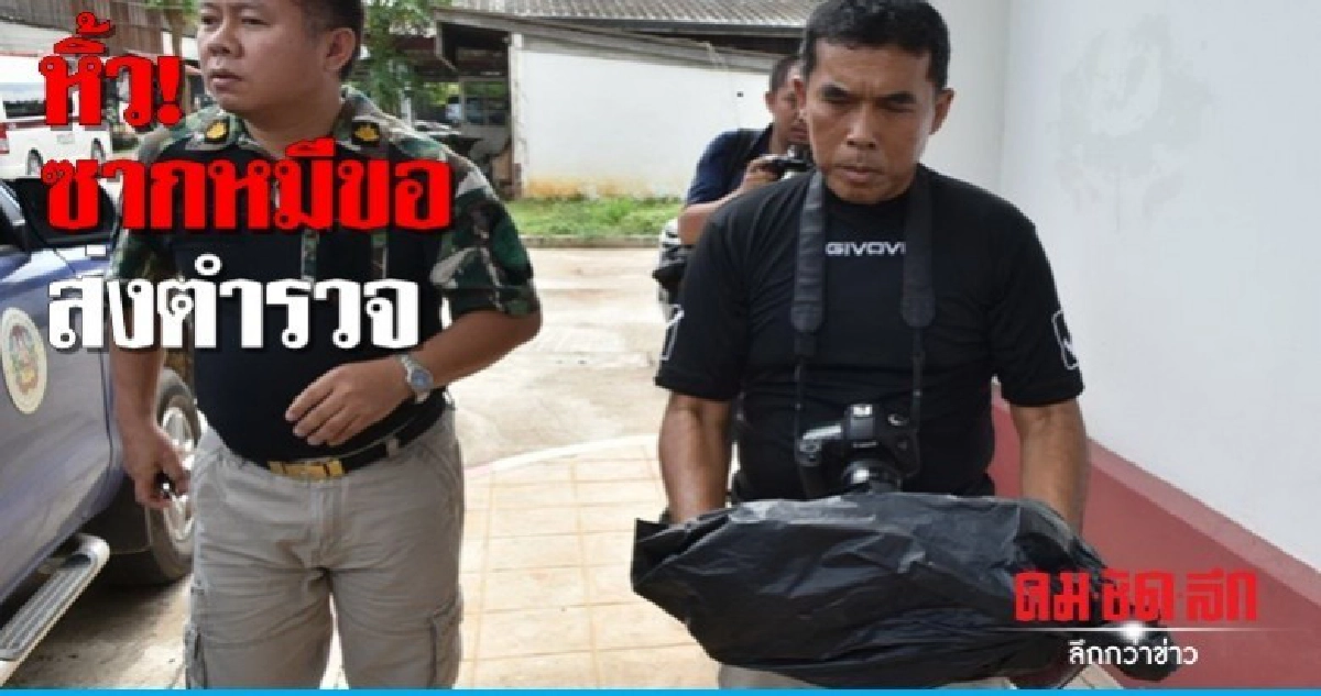 หน.อช.ไทรโยค หิ้วซาก 'หมีขอ' ส่งตำรวจ!