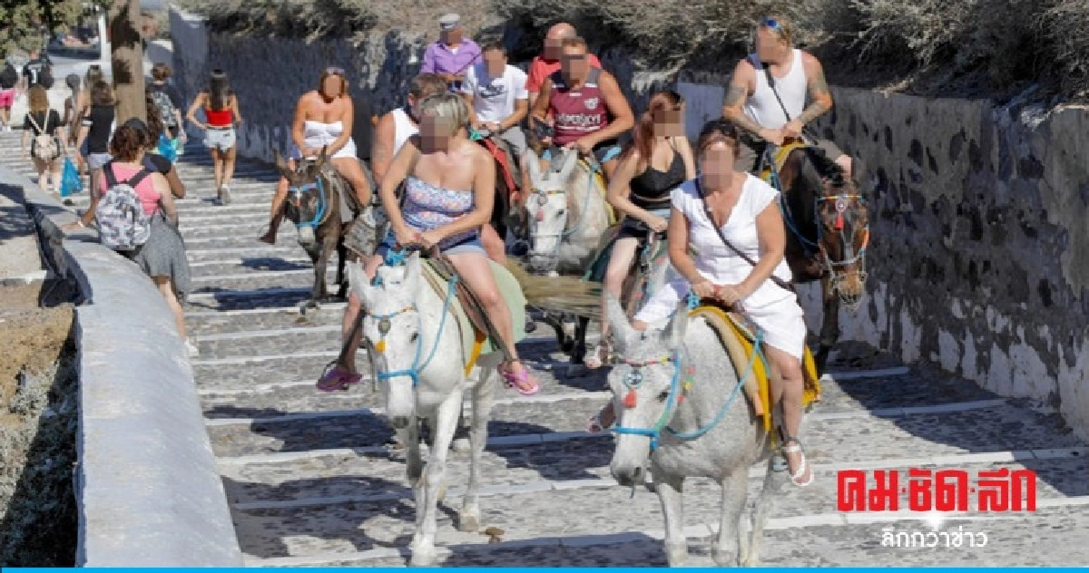 กรีซห้ามนักท่องเที่ยวอ้วนขี่หลังลา