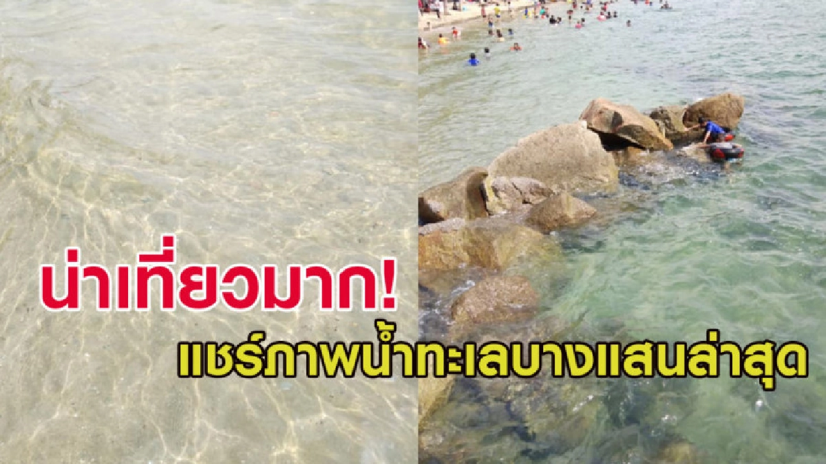 เผยภาพน้ำทะเลบางแสนล่าสุด บอกเลยว่าน่าเที่ยวมากๆ เผยภาพน้ำทะเลบางแสนล่าสุด บอกเลยว่าน่าเที่ยวมากๆ