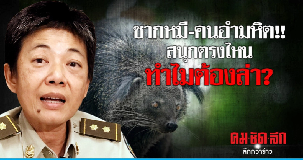ซากหมี-คนอำมหิต!!สนุกตรงไหน ทำไมต้องล่า? ซากหมี-คนอำมหิต!!สนุกตรงไหน ทำไมต้องล่า?