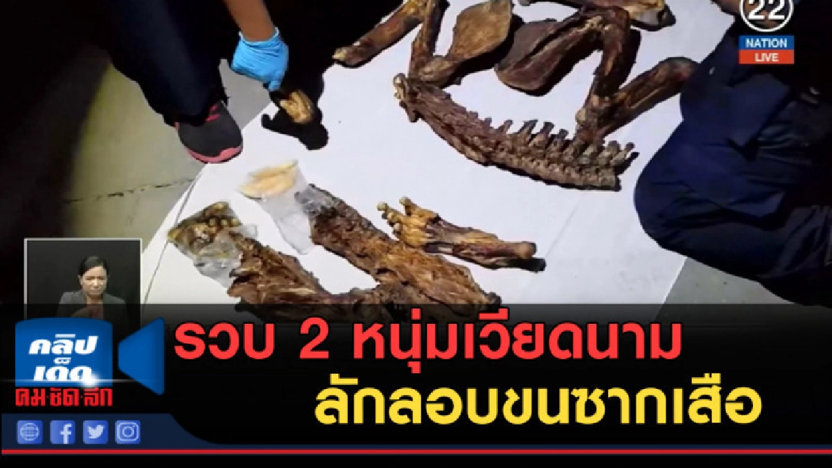 (คลิปข่าว) รวบ 2 หนุ่มเวียดนามลักลอบขนซากเสือ (คลิปข่าว) รวบ 2 หนุ่มเวียดนามลักลอบขนซากเสือ