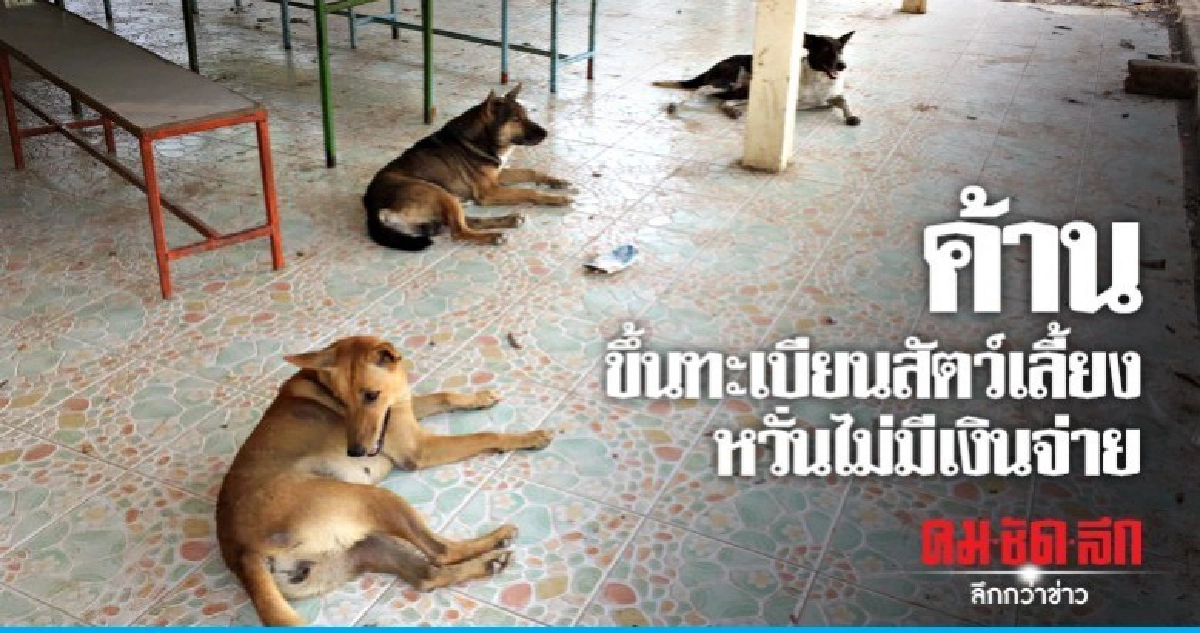  หวั่นไม่มีเงินจ่าย ชาวบ้านไม่เห็นด้วยขึ้นทะเบียนสัตว์เลี้ยง
