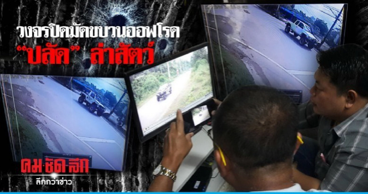เปิดภาพออฟโรด "ปลัด" ล่าสัตว์ผ่าน 3 จุด เปิดภาพออฟโรด "ปลัด" ล่าสัตว์ผ่าน 3 จุด