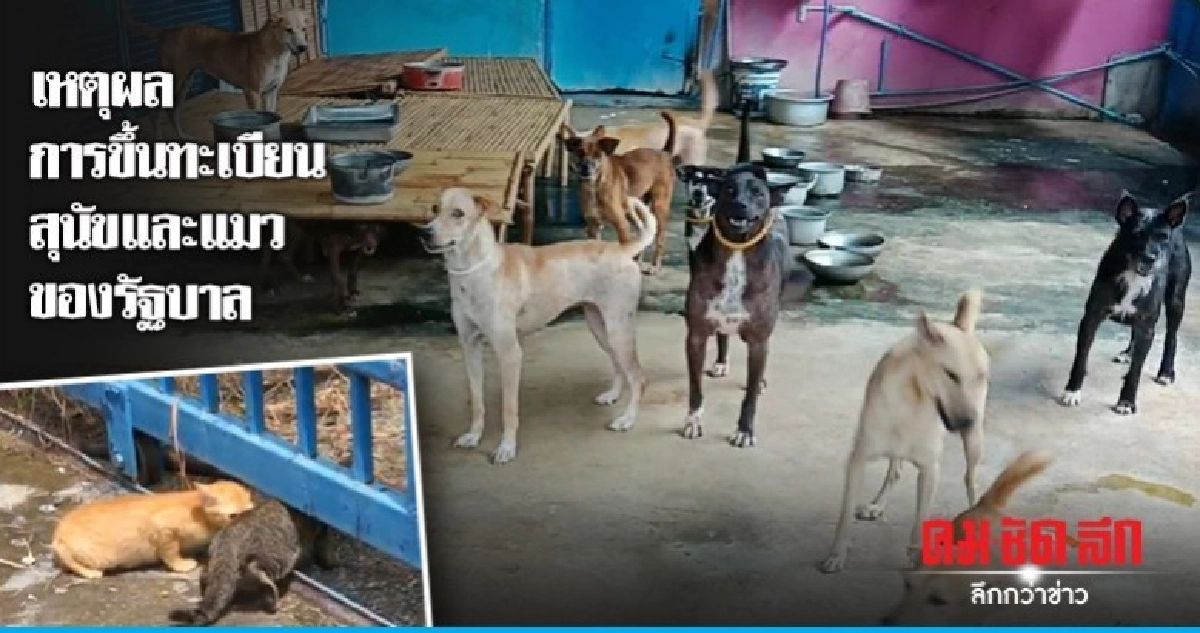 เหตุผลการขึ้นทะเบียนสุนัขและแมวของรัฐบาล เหตุผลการขึ้นทะเบียนสุนัขและแมวของรัฐบาล