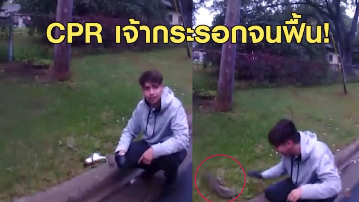 ช่วยชีวิตเพื่อนร่วมโลก! หนุ่ม CPR กระรอกที่ถูกรถชนจนฟื้น