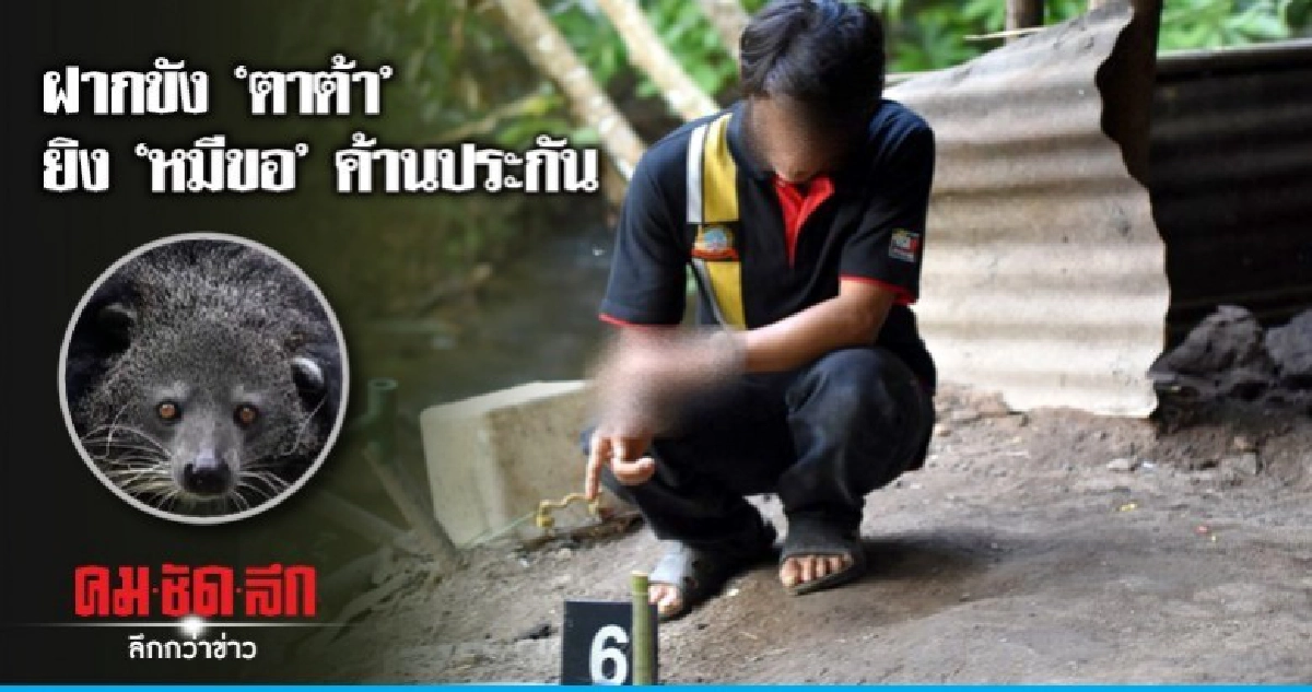 ฝากขัง "ตาต้า" ยัน "อส." สั่งยิง "หมีขอ" ฝากขัง "ตาต้า" ยัน "อส." สั่งยิง "หมีขอ"