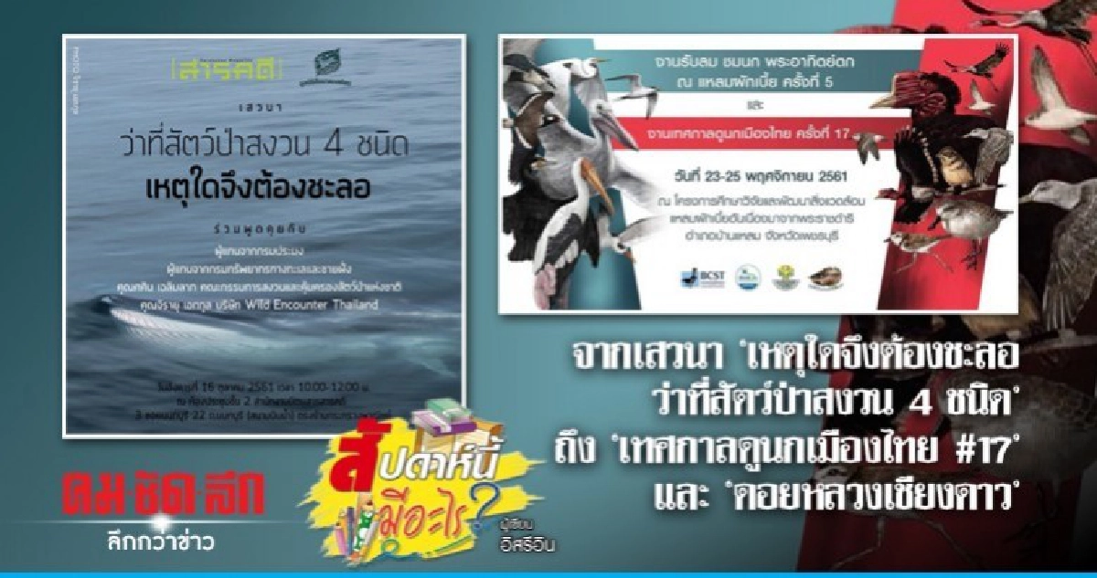 จากเสวนา "เหตุใดจึงต้องชะลอว่าที่สัตว์ป่าสงวน 4 ชนิด" จากเสวนา "เหตุใดจึงต้องชะลอว่าที่สัตว์ป่าสงวน 4 ชนิด"
