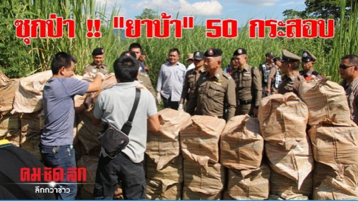 ซุก "ยาบ้า" ป่าข้างทาง 50 กระสอบกว่า10 ล้านเม็ด