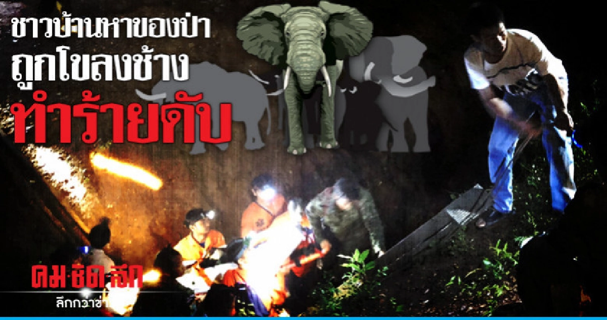 ชาวบ้านหาของป่าถูกโขลงช้างทำร้ายดับ ชาวบ้านหาของป่าถูกโขลงช้างทำร้ายดับ