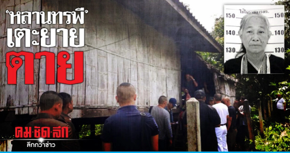 'หลานทรพี'เตะยายตาย