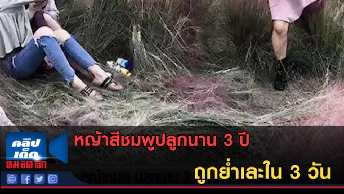 (คลิปข่าว) หญ้าสีชมพูปลูกนาน 3 ปี ถูกย่ำเละใน 3 วัน (คลิปข่าว) หญ้าสีชมพูปลูกนาน 3 ปี ถูกย่ำเละใน 3 วัน