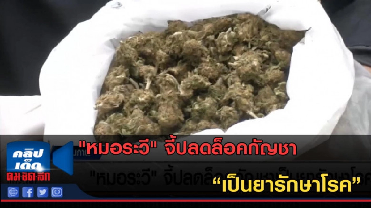 (คลิปข่าว) "หมอระวี" จี้ปลดล็อคกัญชาเป็นยารักษาโรค (คลิปข่าว) "หมอระวี" จี้ปลดล็อคกัญชาเป็นยารักษาโรค