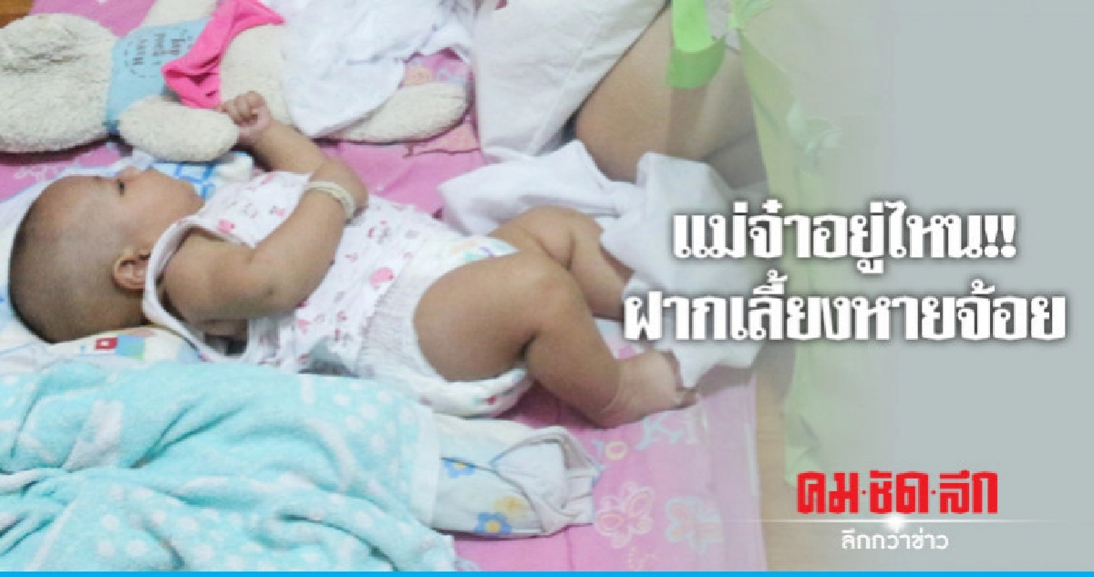 จ้างเลี้ยงลูกทิ้งหายไม่กลับมา
