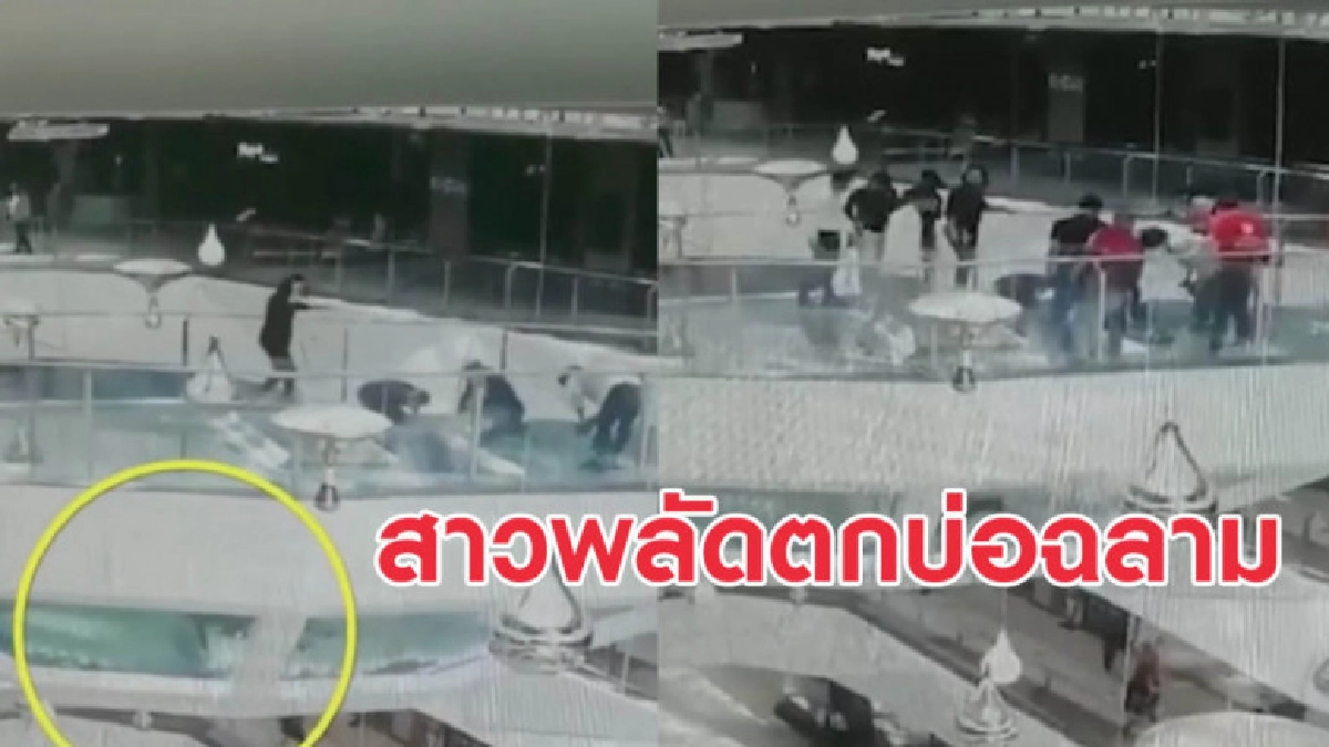 ระทึก! สาวลื่นพลัดตกบ่อฉลามเลม่อน สัตว์นักล่าแห่งท้องทะเล