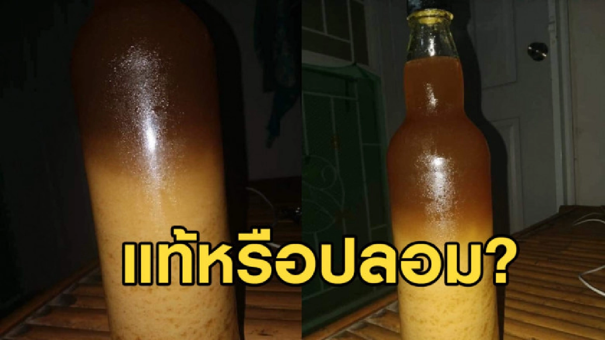 คอมเมนต์กันยาว!! ชาวเน็ตเสียงแตกเพราะน้ำผึ้งขวดเดียว คอมเมนต์กันยาว!! ชาวเน็ตเสียงแตกเพราะน้ำผึ้งขวดเดียว