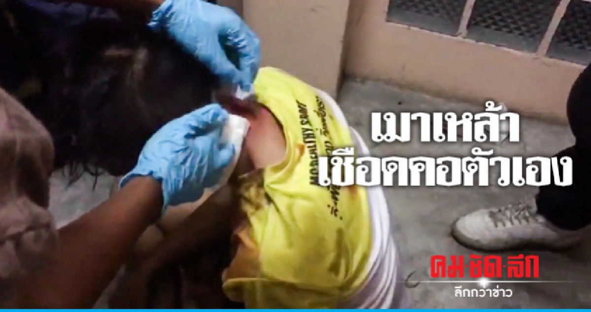หนุ่มเมาเหล้าก่อเหตุเชือดคอตัวเอง หนุ่มเมาเหล้าก่อเหตุเชือดคอตัวเอง