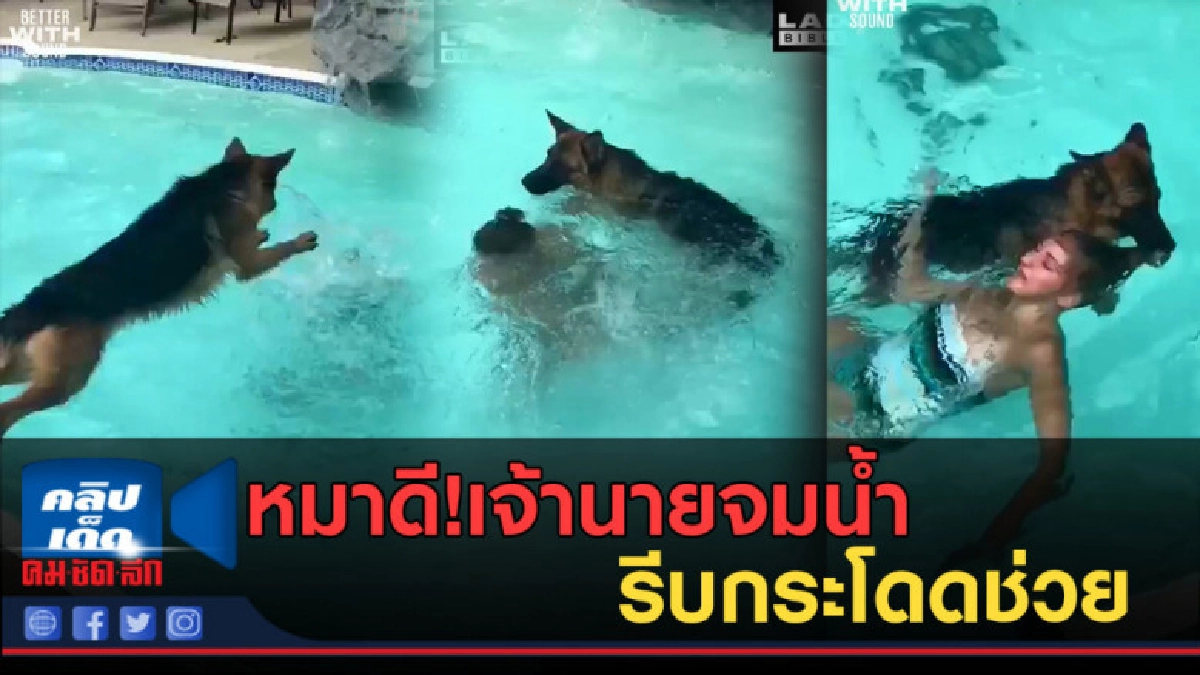 (คลิปข่าว) หมาดี!เจ้านายจมน้ำ รีบกระโดดช่วย คาบผมลากขึ้นฝั่ง (คลิปข่าว) หมาดี!เจ้านายจมน้ำ รีบกระโดดช่วย คาบผมลากขึ้นฝั่ง