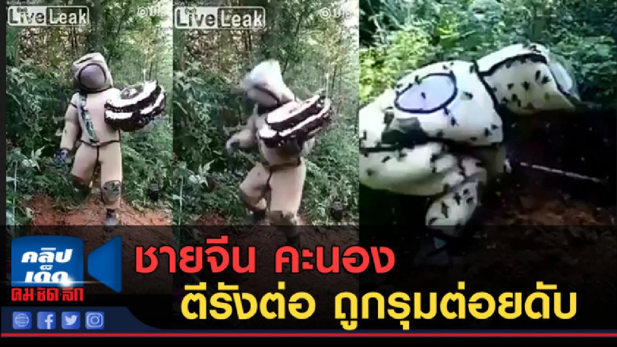 (คลิปข่าว) ชายจีน คะนอง ตีรังต่อ ถูกรุมต่อยดับ (คลิปข่าว) ชายจีน คะนอง ตีรังต่อ ถูกรุมต่อยดับ
