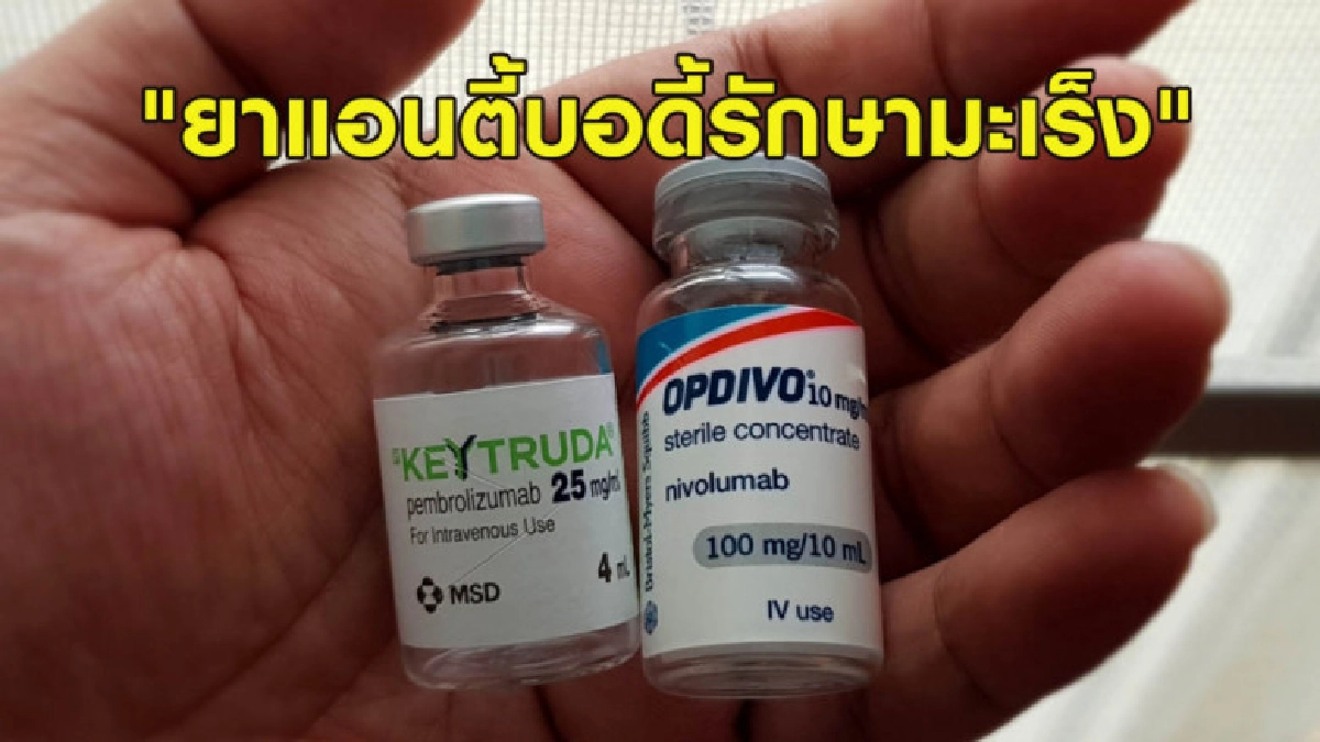 คนไทยแห่บริจาคสมทบทุนงานวิจัย "ยาแอนตี้บอดี้รักษามะเร็ง" คนไทยแห่บริจาคสมทบทุนงานวิจัย "ยาแอนตี้บอดี้รักษามะเร็ง"