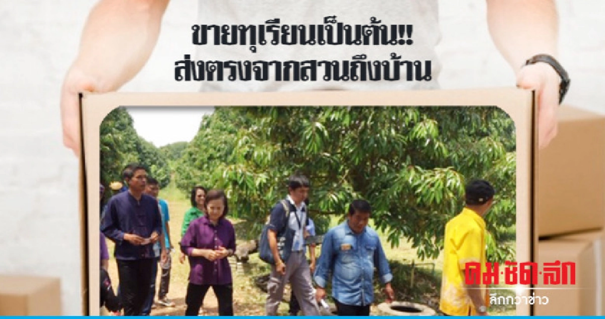 ผุดไอเดียขายทุเรียนเป็นต้น !! ผุดไอเดียขายทุเรียนเป็นต้น !!
