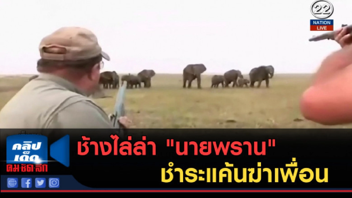 (คลิปข่าว) ช้างไล่ล่า "นายพราน" ชำระแค้นฆ่าเพื่อน (คลิปข่าว) ช้างไล่ล่า "นายพราน" ชำระแค้นฆ่าเพื่อน