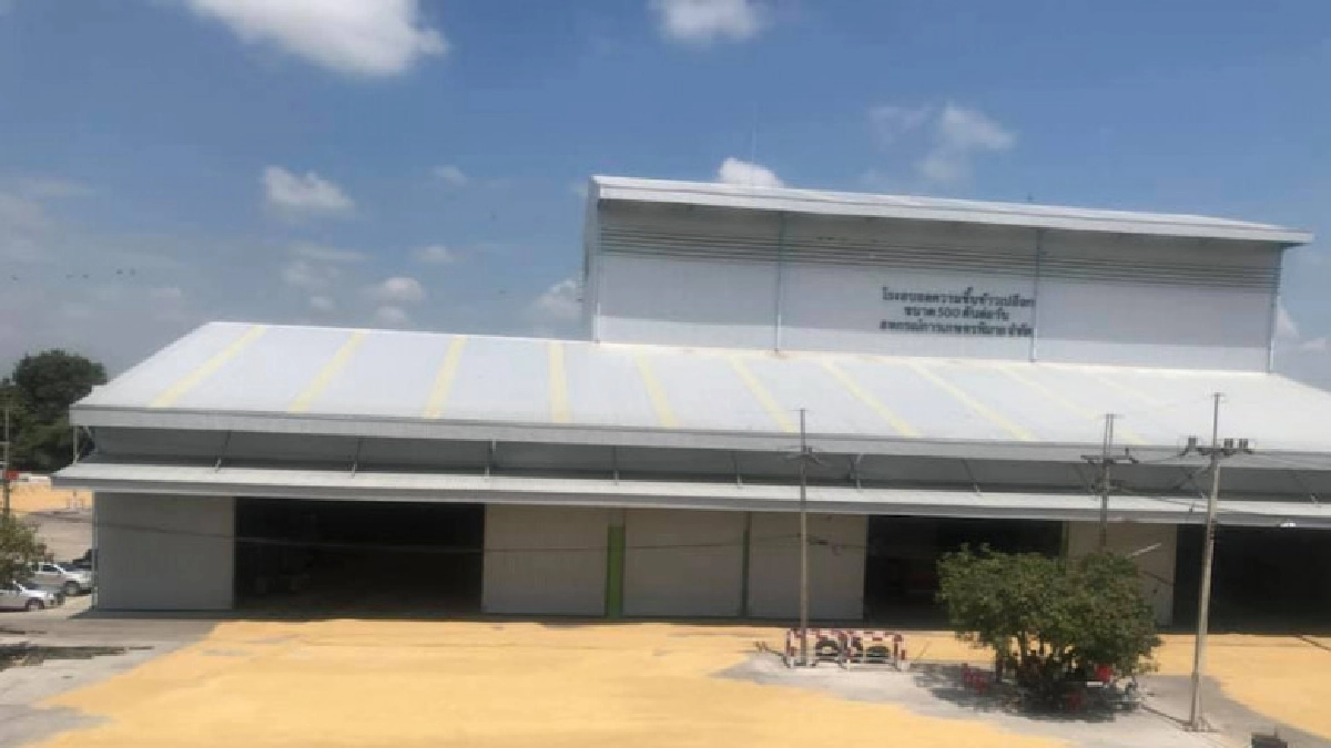 สหกรณ์ชี้ข้าวหอมมะลิราคาพุ่งสูงกว่าทุกปีที่ผ่านมา