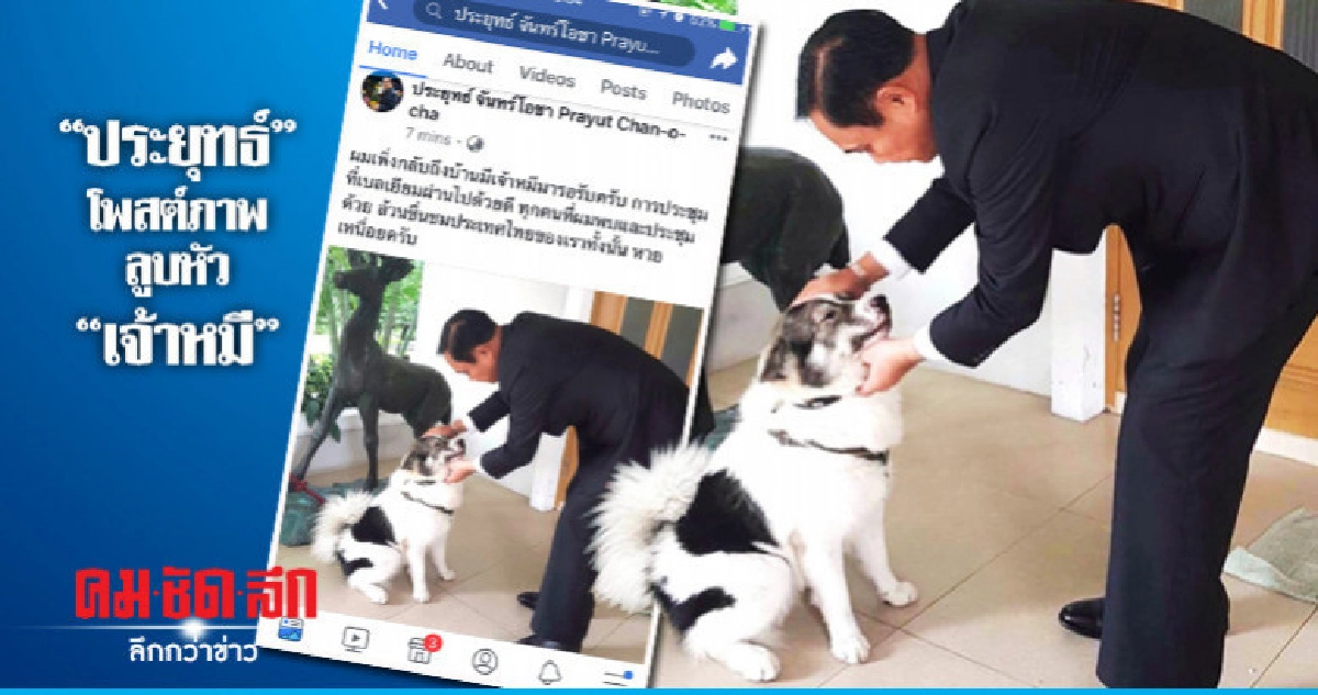 "ประยุทธ์"โพสต์ภาพลูบหัว"เจ้าหมี"หลังเสร็จภารกิจเยือนยุโรป "ประยุทธ์"โพสต์ภาพลูบหัว"เจ้าหมี"หลังเสร็จภารกิจเยือนยุโรป
