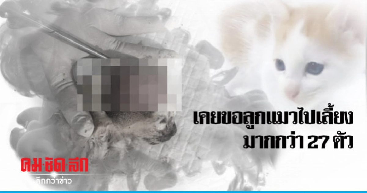 ยังไม่มีแจ้งความ "ดีเจสาว" เพิ่มเติม ยังไม่มีแจ้งความ "ดีเจสาว" เพิ่มเติม