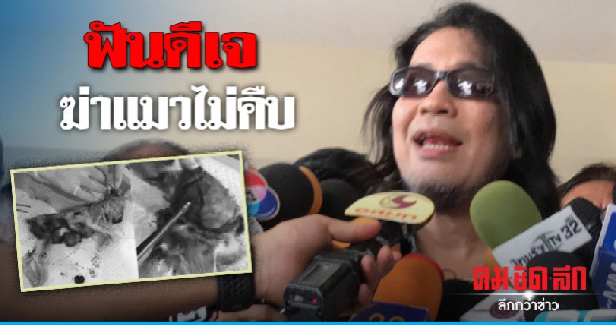 ยังไม่พบหลักฐาน "ดีเจ" ก่อเหตุฆ่าแมว ยังไม่พบหลักฐาน "ดีเจ" ก่อเหตุฆ่าแมว