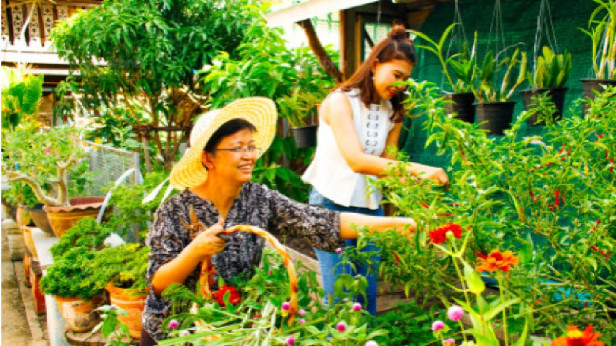ผู้สูงอายุไทยเปิดใจรับ Airbnbเข้าพักสูงสุดติดอันดับโลก ผู้สูงอายุไทยเปิดใจรับ Airbnbเข้าพักสูงสุดติดอันดับโลก