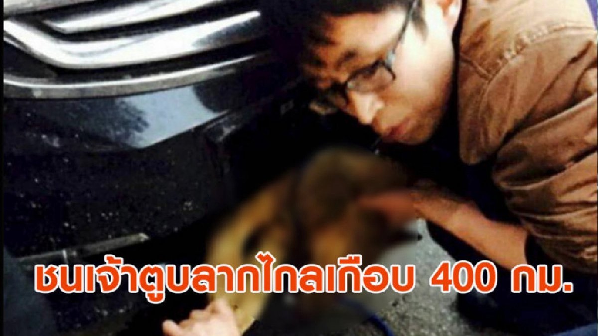 ชายจีนขับรถลากชนเจ้าตูบ ก่อนลากไปไกลเกือบ 400 กม. ชายจีนขับรถลากชนเจ้าตูบ ก่อนลากไปไกลเกือบ 400 กม.
