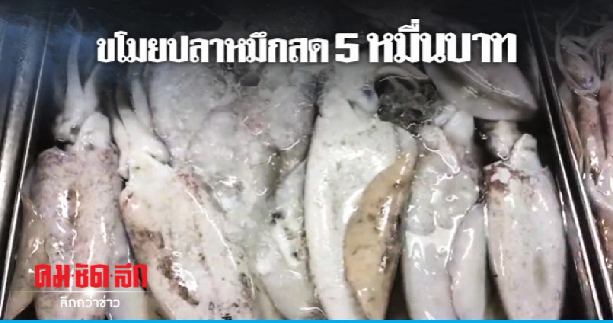 ขโมยตู้แช่ปลาหมึกสดรวดเดียว 5 ตู้ ขโมยตู้แช่ปลาหมึกสดรวดเดียว 5 ตู้
