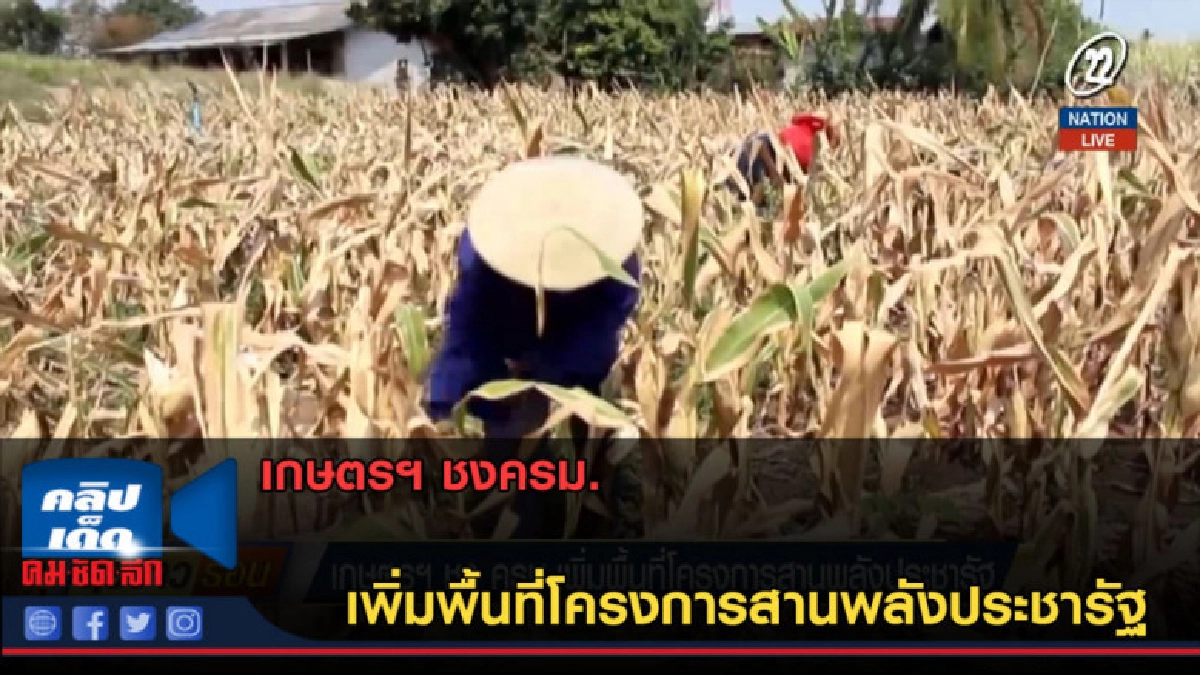 (คลิปข่าว) เกษตรฯ ชงครม.เพิ่มพื้นที่โครงการสานพลังประชารัฐ (คลิปข่าว) เกษตรฯ ชงครม.เพิ่มพื้นที่โครงการสานพลังประชารัฐ