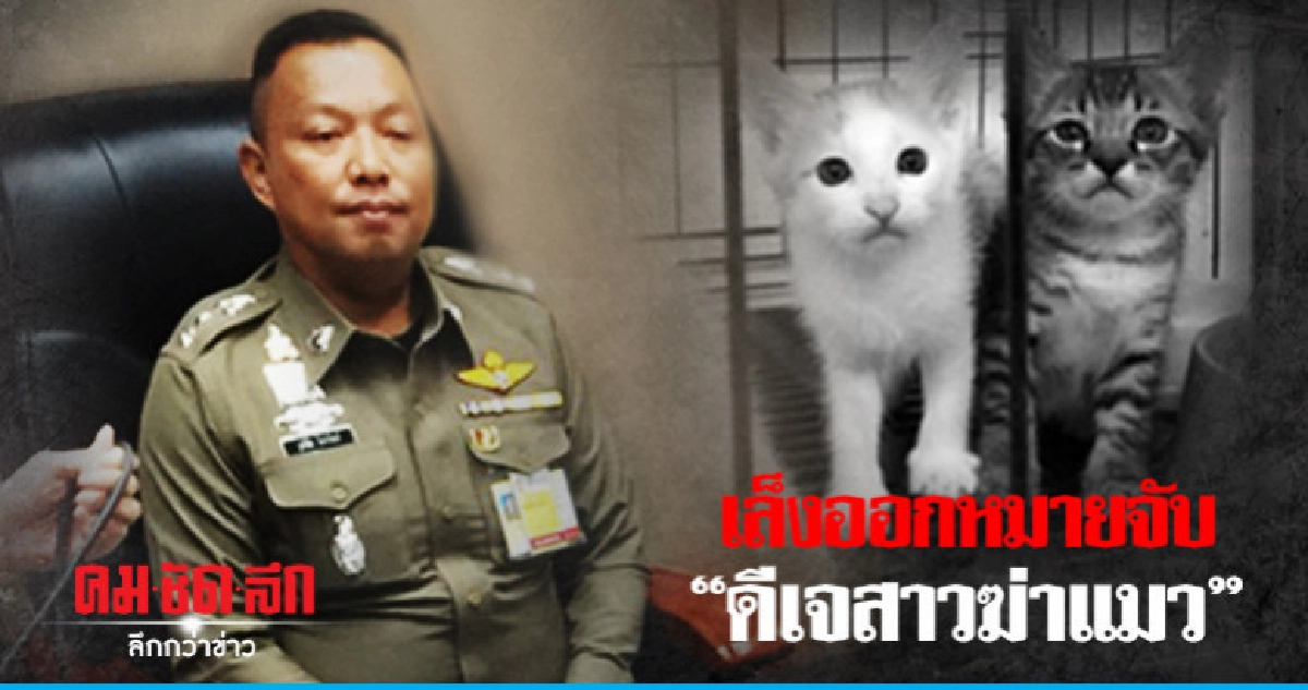 หมายเรียก "ดีเจสาวฆ่าแมว" พบ พงส. 29 ต.ค. นี้ หมายเรียก "ดีเจสาวฆ่าแมว" พบ พงส. 29 ต.ค. นี้
