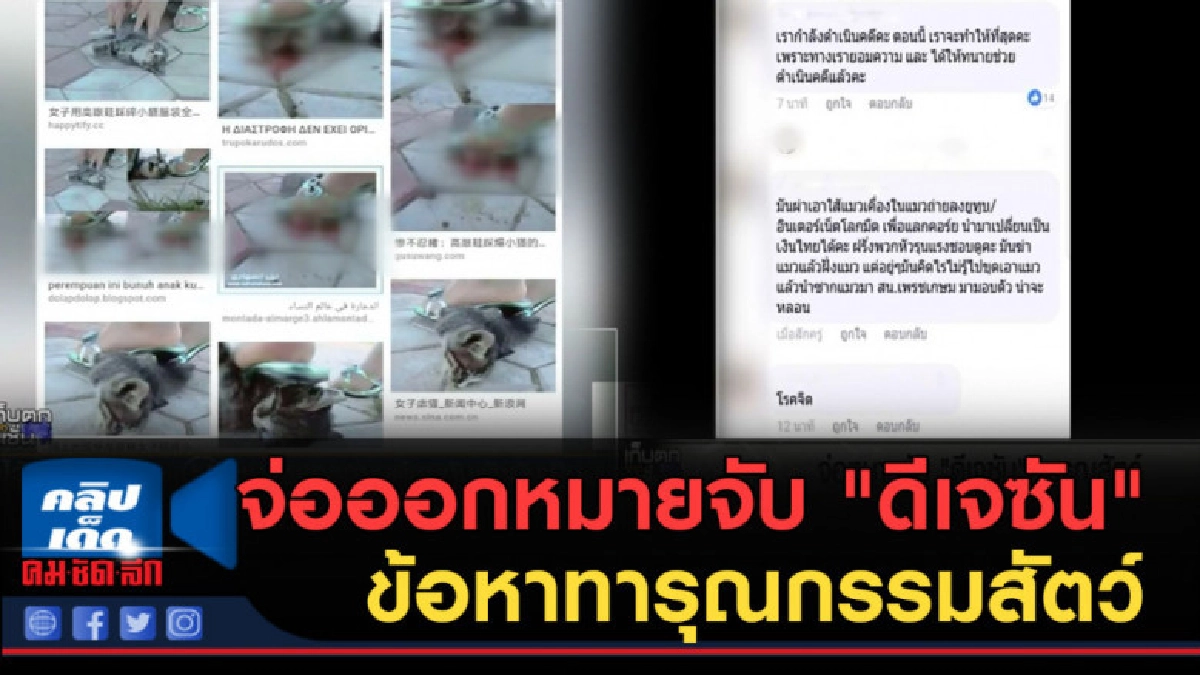 (คลิปข่าว) จ่อออกหมายจับ "ดีเจซัน" ข้อหาทารุณกรรมสัตว์ (คลิปข่าว) จ่อออกหมายจับ "ดีเจซัน" ข้อหาทารุณกรรมสัตว์