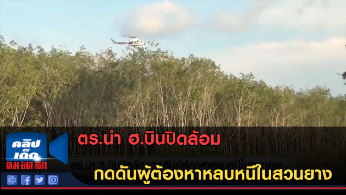 (คลิปข่าว) ตร.นำ ฮ.บินปิดล้อม กดดันผู้ต้องหาหลบหนีในสวนยาง (คลิปข่าว) ตร.นำ ฮ.บินปิดล้อม กดดันผู้ต้องหาหลบหนีในสวนยาง
