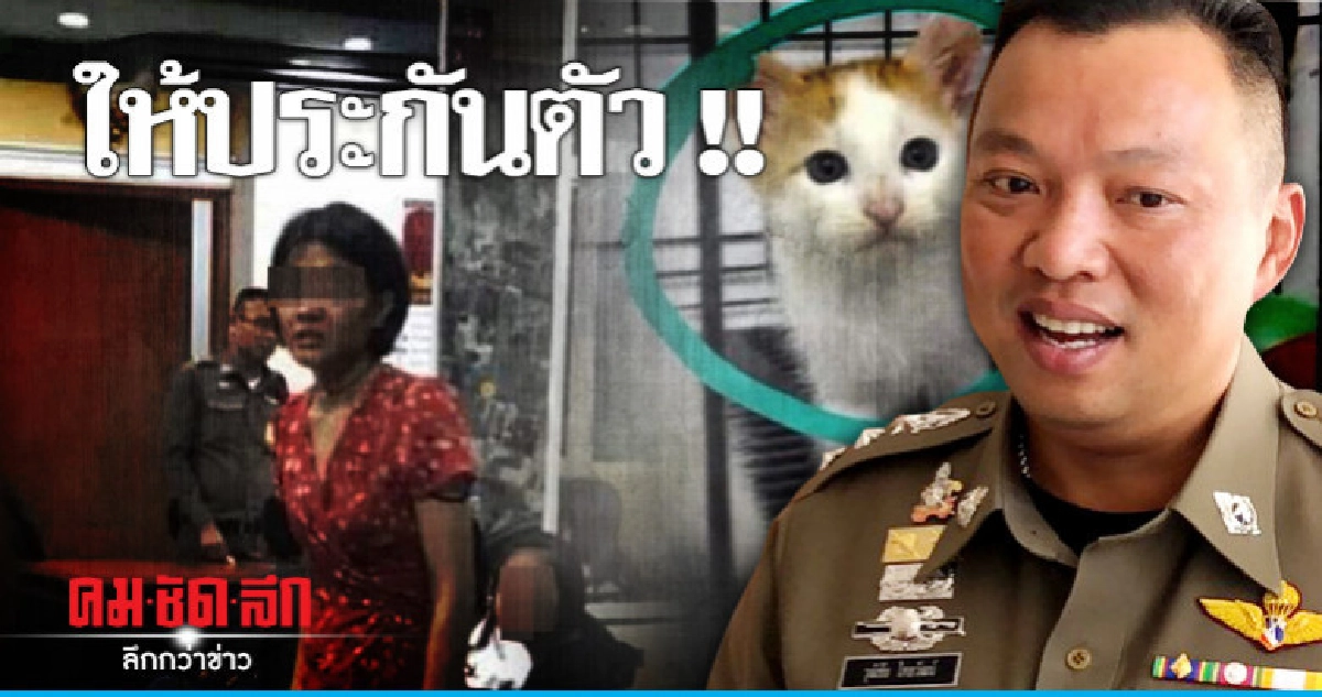 ศาลให้ประกันตัว "ดีเจซัน" คดีฆ่าแมว ศาลให้ประกันตัว "ดีเจซัน" คดีฆ่าแมว