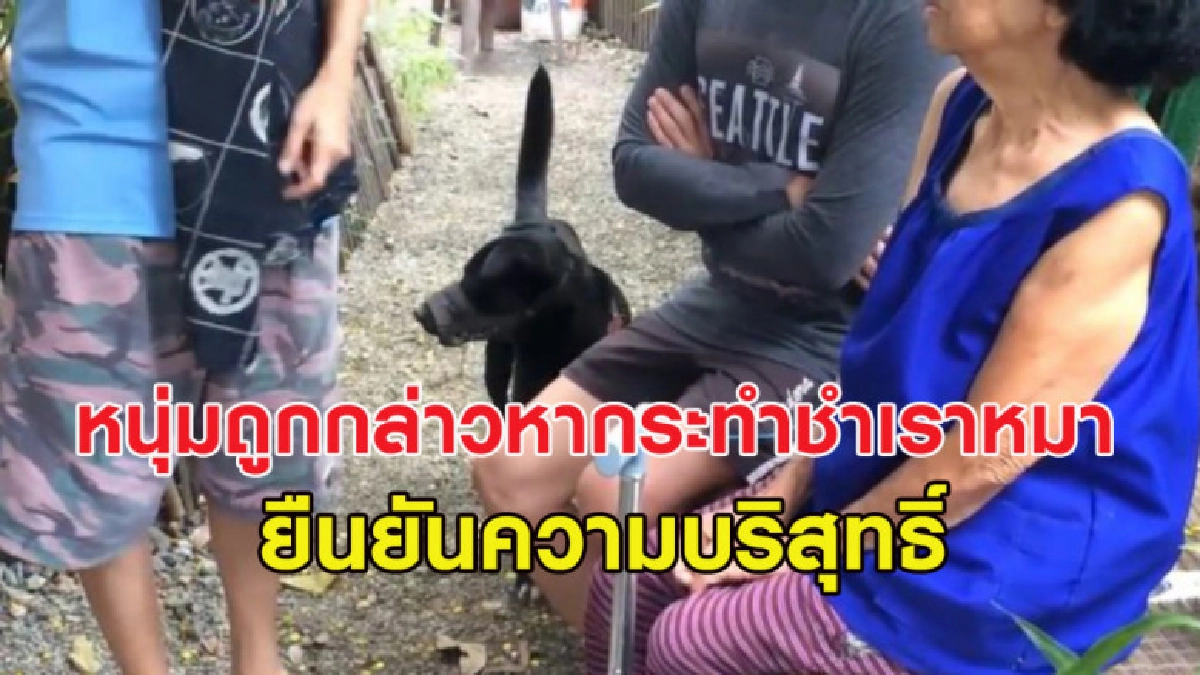 หนุ่มถูกกล่าวหากระทำชำเราสุนัข ยืนยันความบิรสุทธิ์