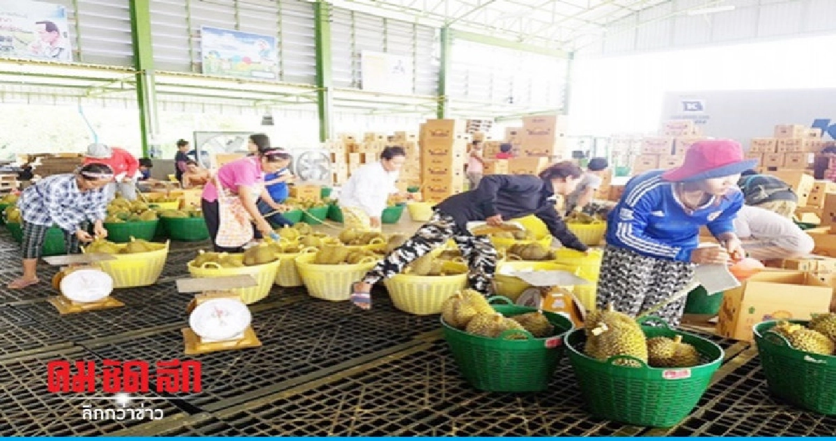 "ไทย-เยอรมนี"ติดอาวุธจนท.ลดปัญหานำเข้า-ส่งออกสินค้าเกษตร