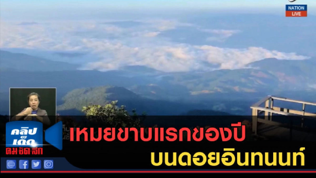(คลิปข่าว) มาแล้ว!...เหมยขาบแรกของปี บนดอยอินทนนท์