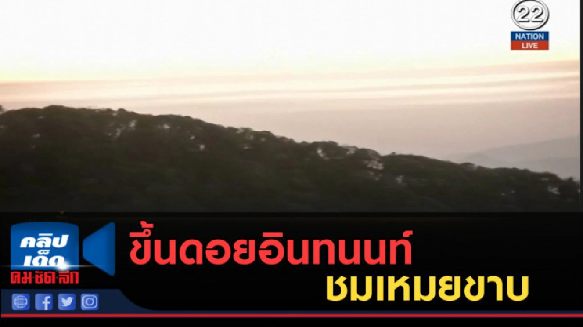 (คลิปข่าว) นักท่องเที่ยวขึ้นดอยอินทนนท์ชมเหมยขาบ