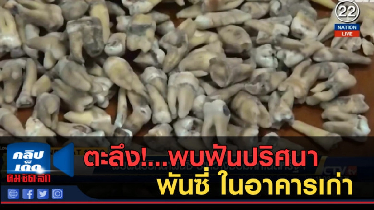 (คลิปข่าว) ตะลึง!...พบฟันปริศนาพันซี่ ในอาคารเก่าสหรัฐฯ (คลิปข่าว) ตะลึง!...พบฟันปริศนาพันซี่ ในอาคารเก่าสหรัฐฯ