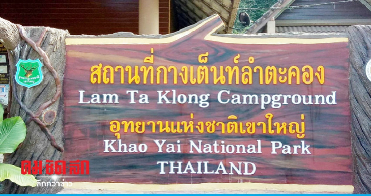 ได้เบาะแส ! หลังลุยค้นหาหนุ่มหลงป่าเขาใหญ่