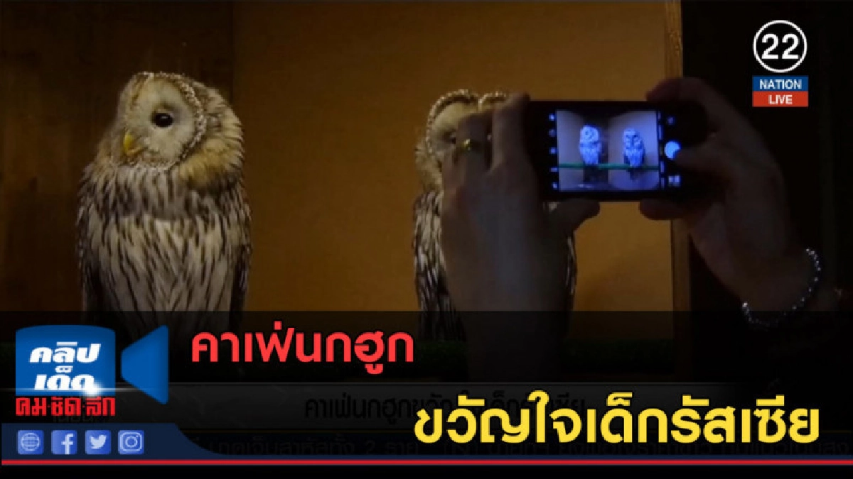 (คลิปข่าว) คาเฟ่นกฮูก ขวัญใจเด็กรัสเซีย (คลิปข่าว) คาเฟ่นกฮูก ขวัญใจเด็กรัสเซีย
