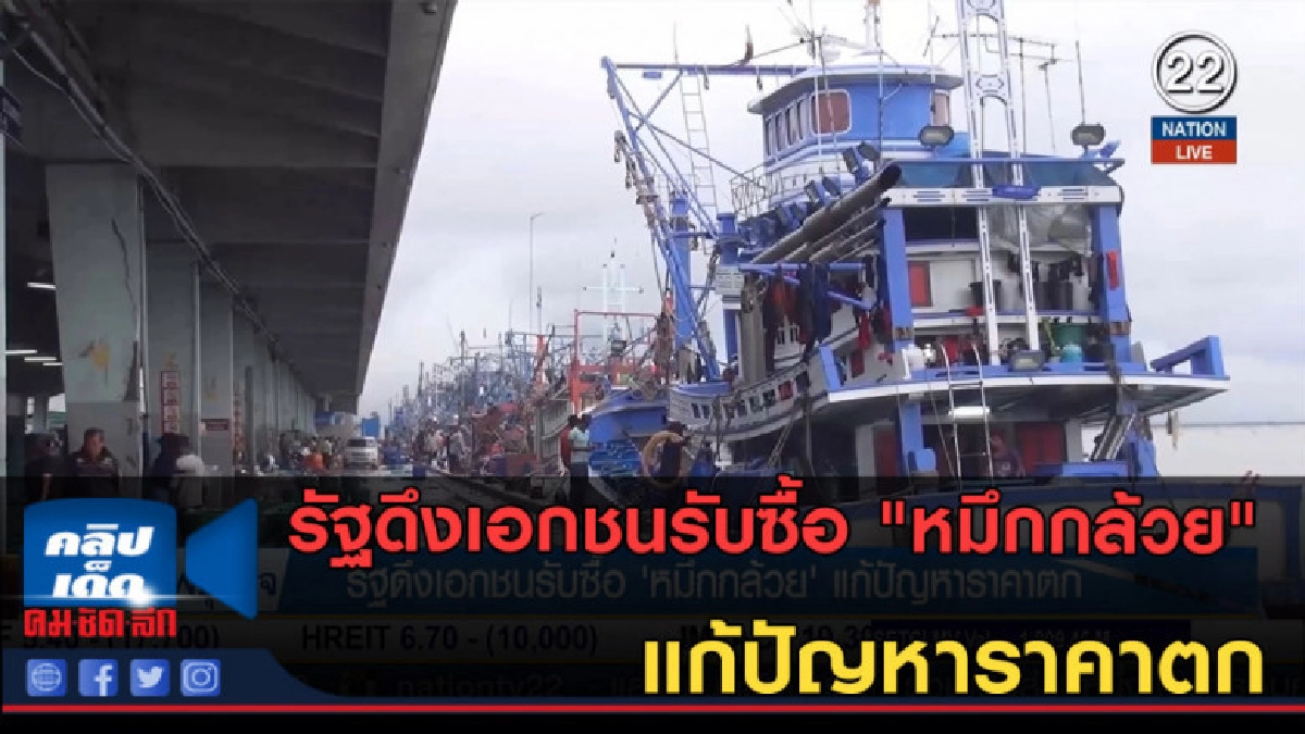 (คลิปข่าว) รัฐดึงเอกชนรับซื้อ "หมึกกล้วย" แก้ปัญหาราคาตก (คลิปข่าว) รัฐดึงเอกชนรับซื้อ "หมึกกล้วย" แก้ปัญหาราคาตก
